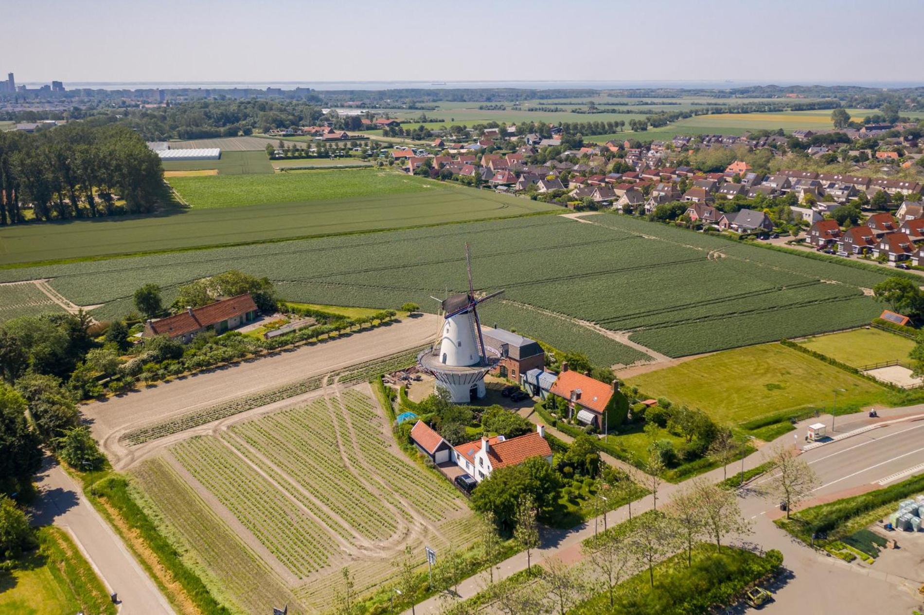 Zeebries, Dichtbij Dishoek *