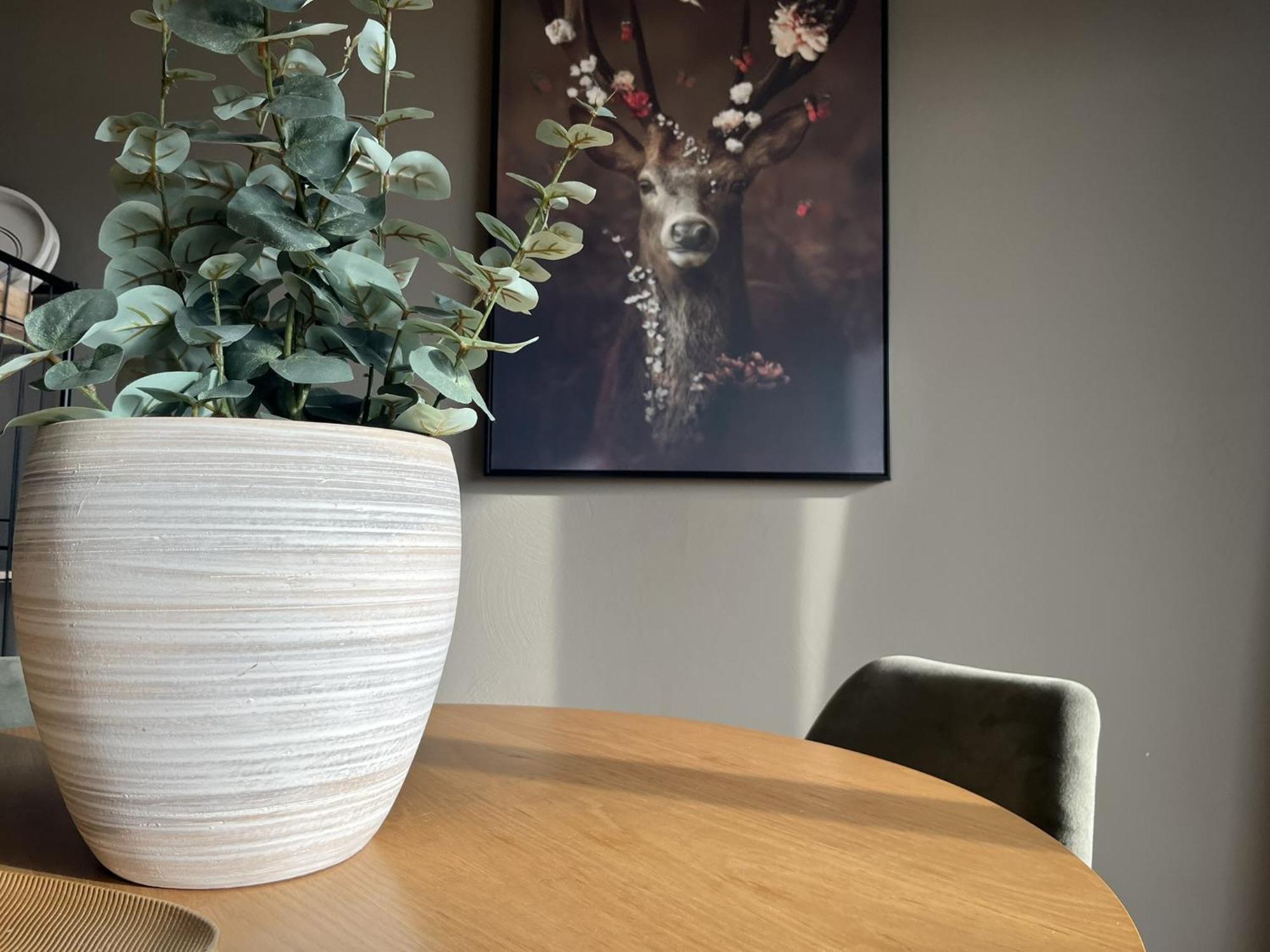 Appartement Zeebries, Dichtbij Dishoek